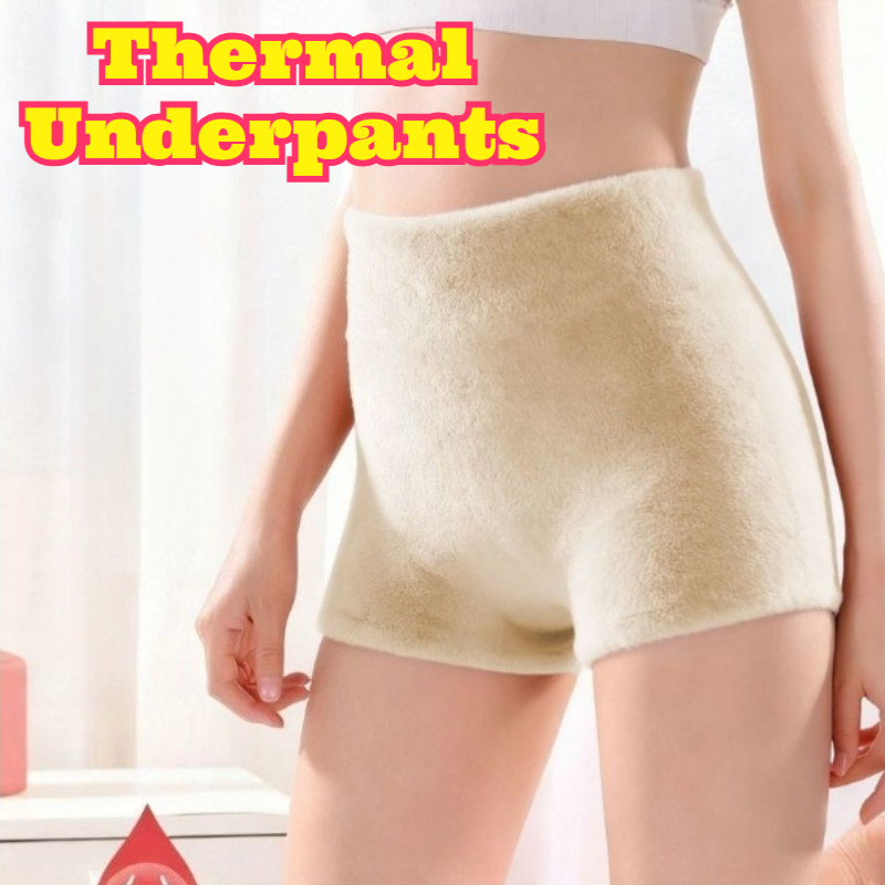 Women High Waist Dralon Boxer  - Seamless Underwear Women 评论和价格